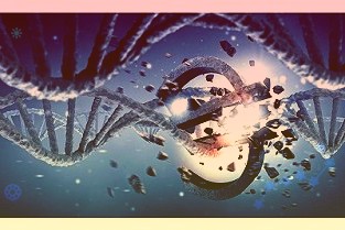 永远的女神?净值下跌基民接着买,葛兰管理规模突破1100亿,超过张坤,退出前十的是智飞生物和美迪西
